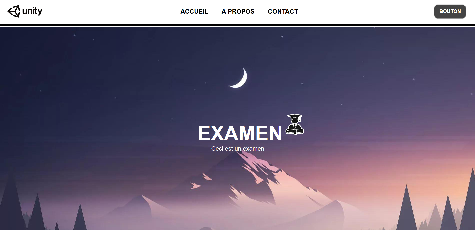 Exam project of HTML CSS (4 hours)